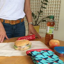Lunch Bag (Hummingbird) - KIVIBAG
