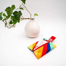 Tissue Holder (Rainbow)